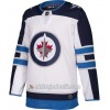 Män Ishockey Winnipeg Jets Tröja Blank Adidas Vit Authentic
